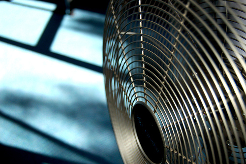 Calor